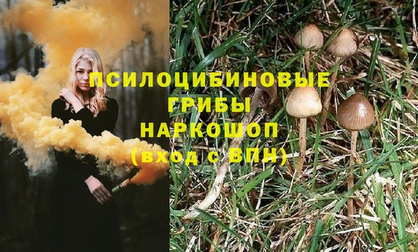 хмурый Приозерск