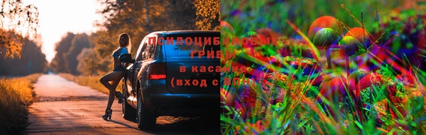 МДПВ Лиски