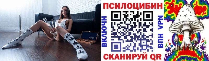 закладки  Великий Устюг  Галлюциногенные грибы Psilocybe 