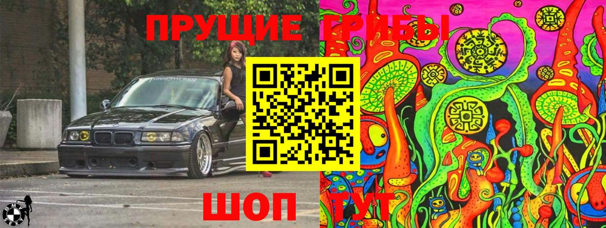 Псилоцибиновые грибы Cubensis  Великий Устюг  Псилоцибиновые грибы мухоморы 